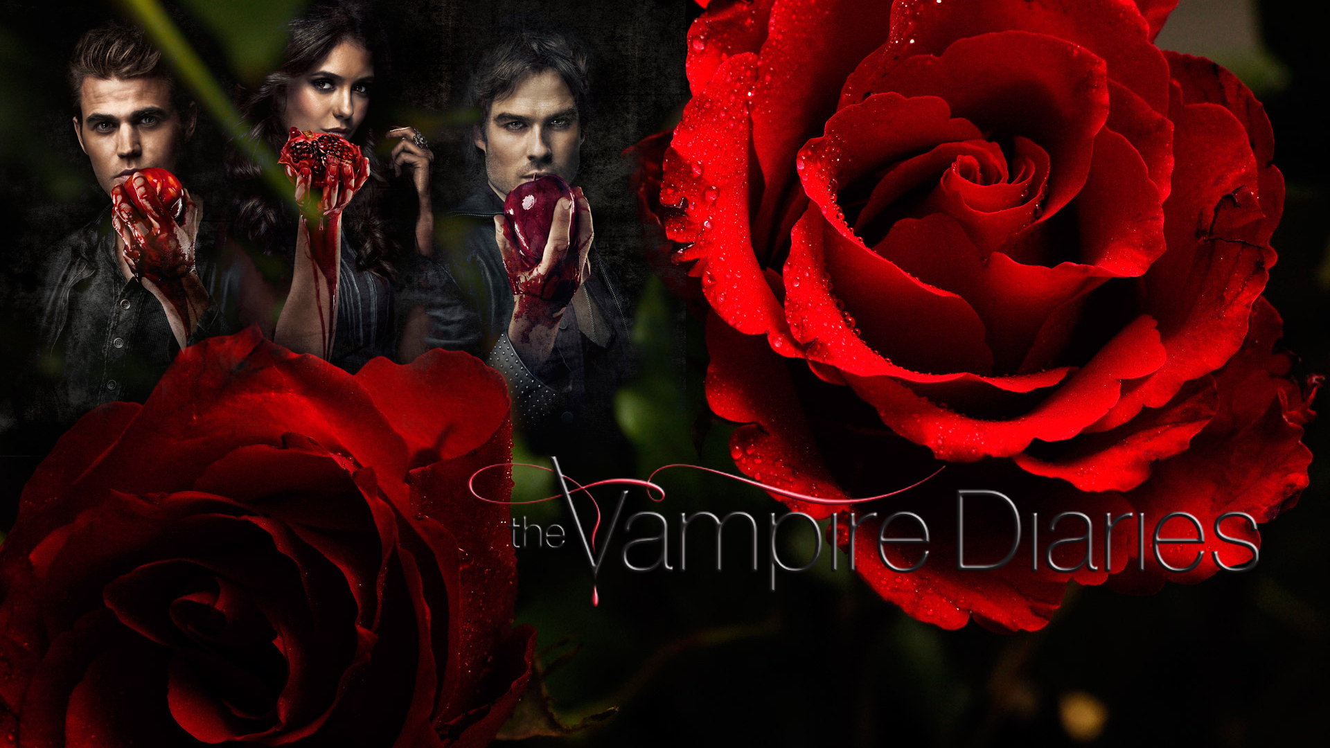 Pamietniki wampirow, The Vampire Diaries 003