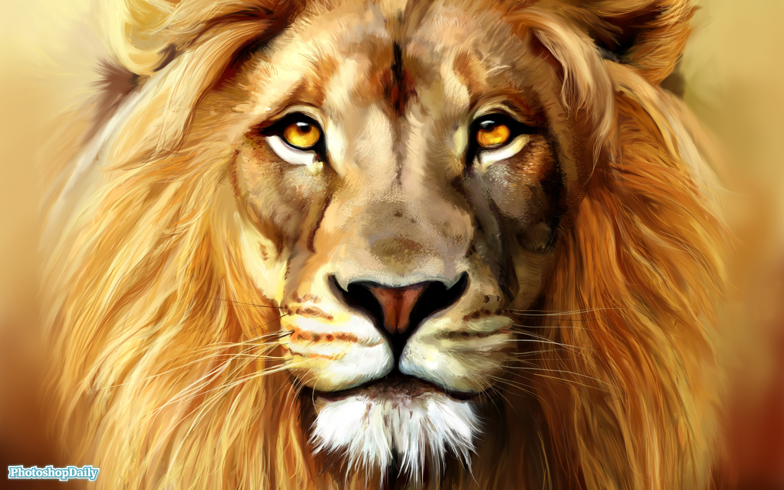 [Obrazek: lew_2560x1600_005.jpg]