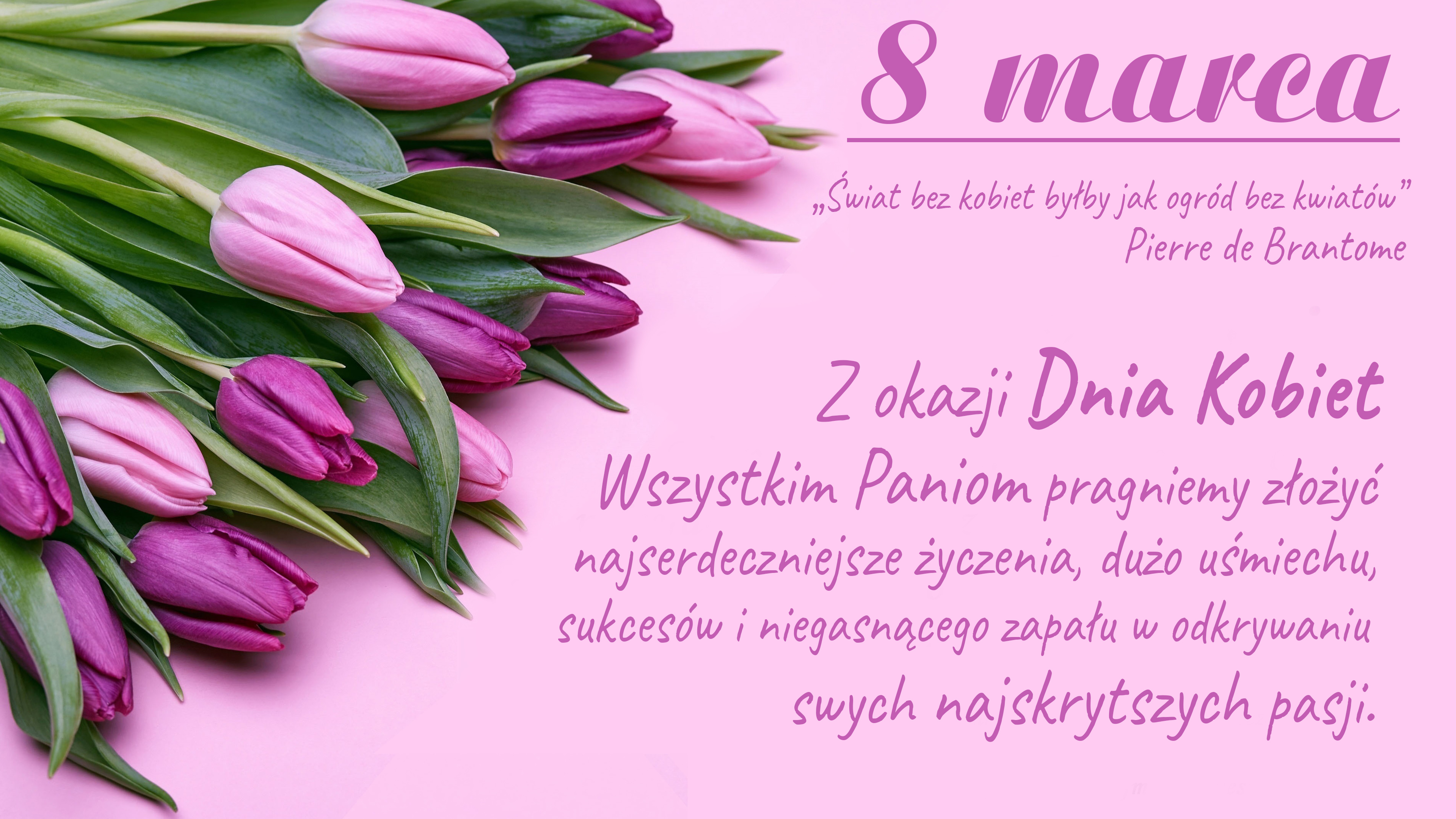 życzenia Na Dzień Kobiet Na Fb Dzien Kobiet 142 8 Marca, Tulipany, Zyczenia - Tapety na pulpit