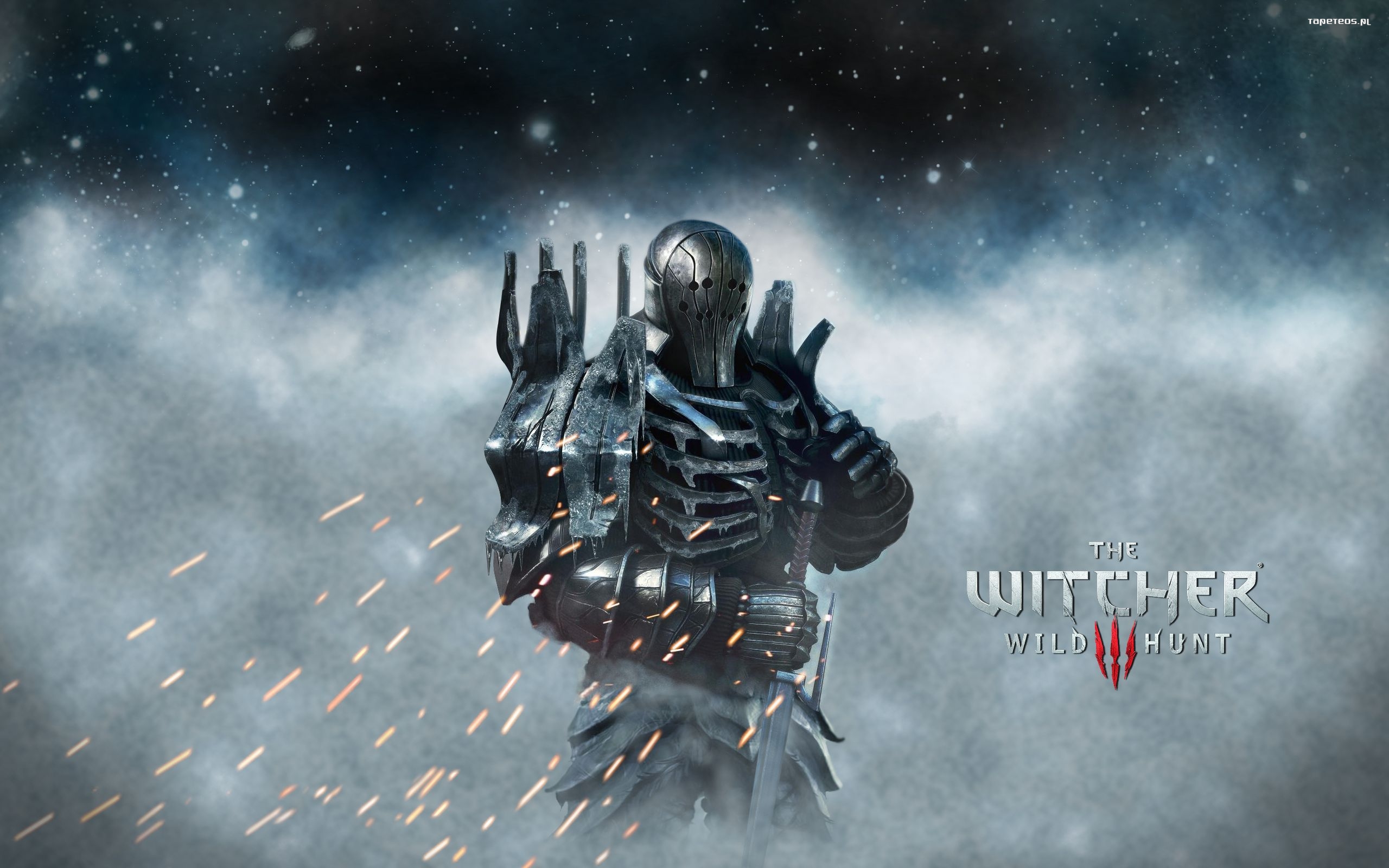 Wiedzmin 3 Dziki Gon - The Witcher 3 Wild Hunt 017