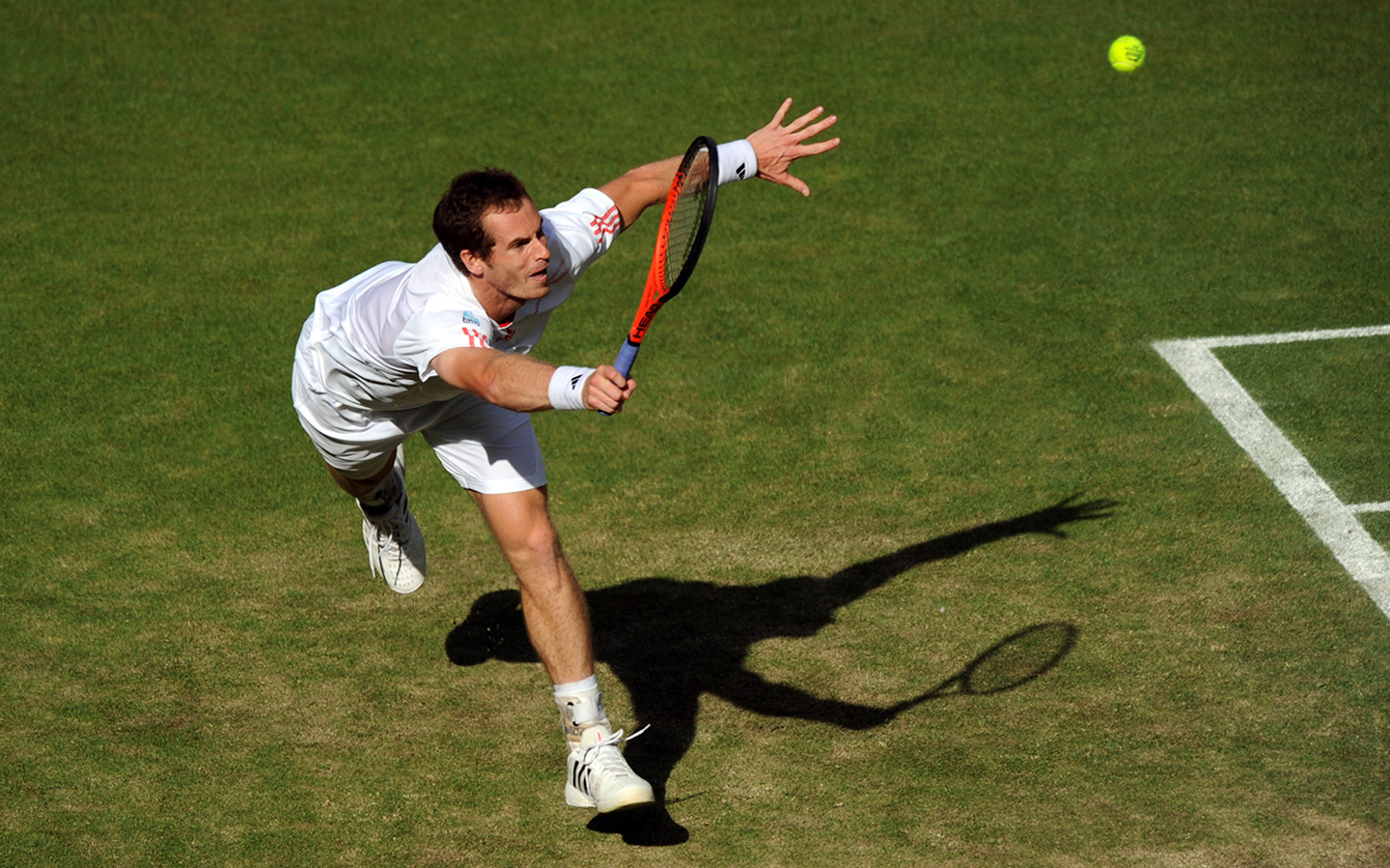 Tenis 1440x900 036 Wimbledon 2012 Andy Murray