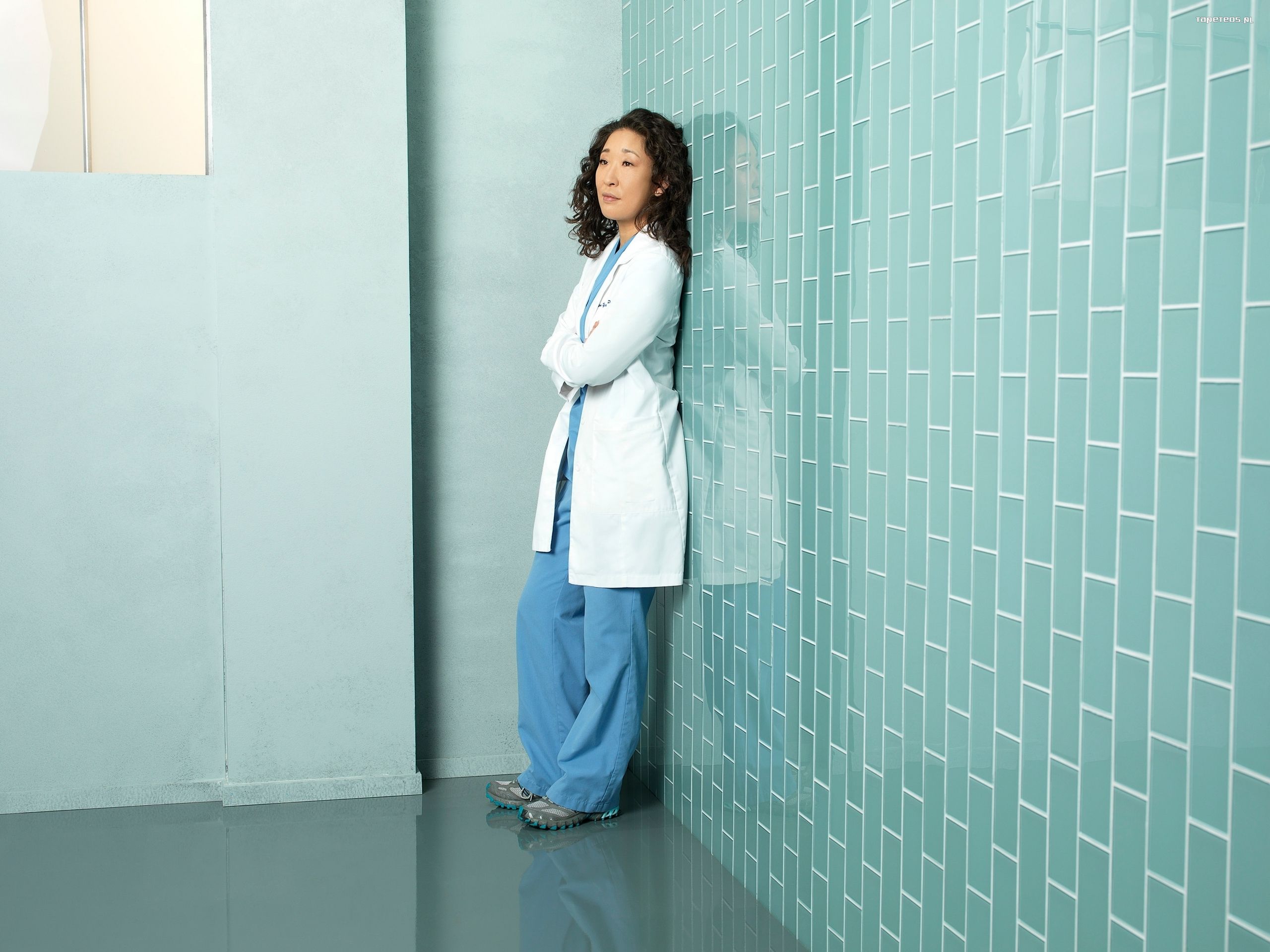 Chirurdzy, Greys Anatomy 041 Sandra Oh