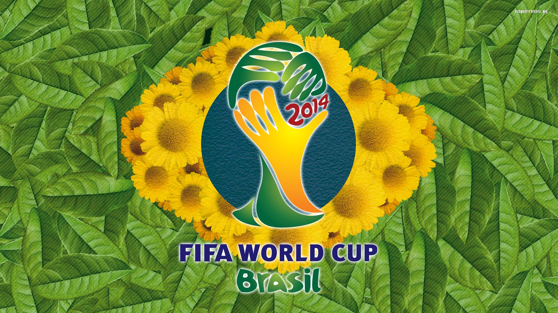 Fifa World Cup Brazil 2014 011