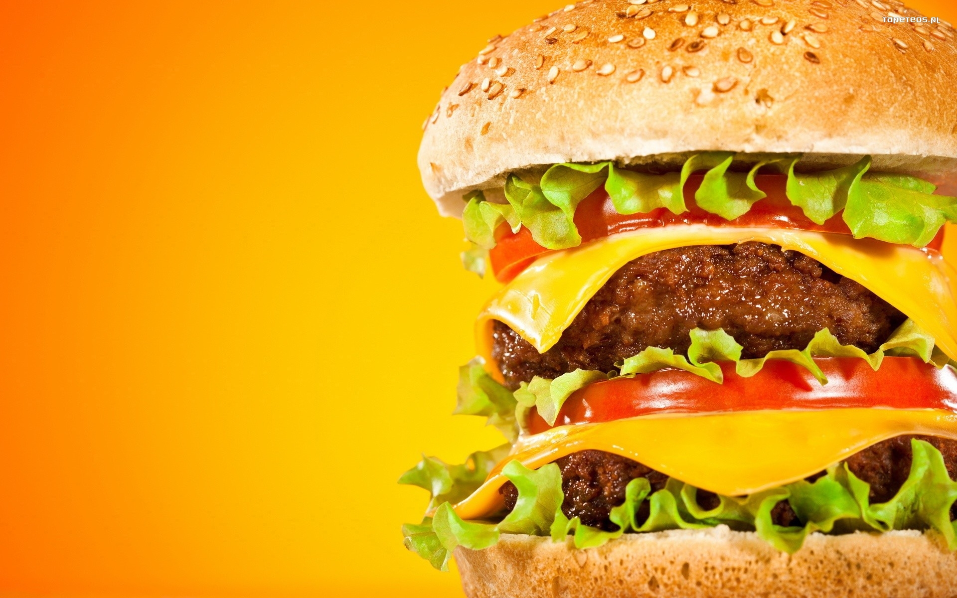 Hamburger 012 Fast food