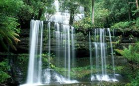 Wodospad 046 Russell Falls, Australia