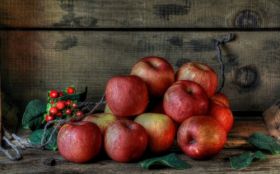 Jablka, Owoce 039
