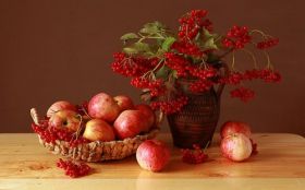 Jablka, Owoce 044 Koszyk, Wazon, Czerwone Porzeczki