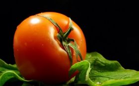 Pomidory, Warzywa 030