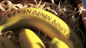 Banany, Owoce 015