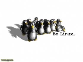 Linux 011
