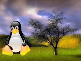 Linux 031
