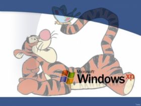 Windows XP 24