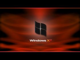 Windows XP 79