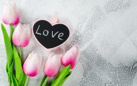 Walentynki, Milosc 1342 Serce, Love, Rozowe Tulipany