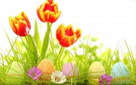 Wielkanoc 452 Tulipany, Trawa, Pisanki, Kwiaty