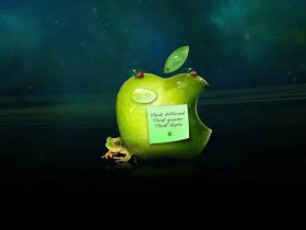 Apple 13