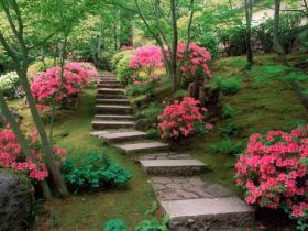 Azaleas, Japanese Garden, Oregon