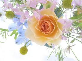 a spring bouquet with a rose
