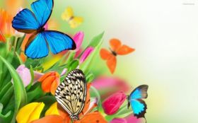 Tulipany 033 Motyle, Kwiaty, Wiosna