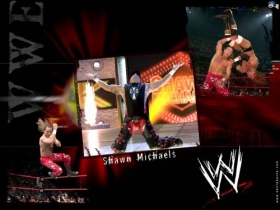 Shawn Michaels 03