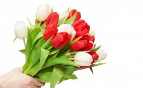 Dzien Kobiet 95 Bukiet, Tulipany