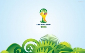 Fifa World Cup Brazil 2014 003