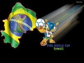Fifa World Cup Brazil 2014 014 Maskotka, Flaga