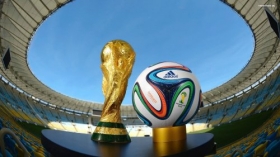 Fifa World Cup Brazil 2014 024 Puchar, Pilka