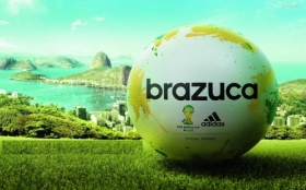 Fifa World Cup Brazil 2014 028