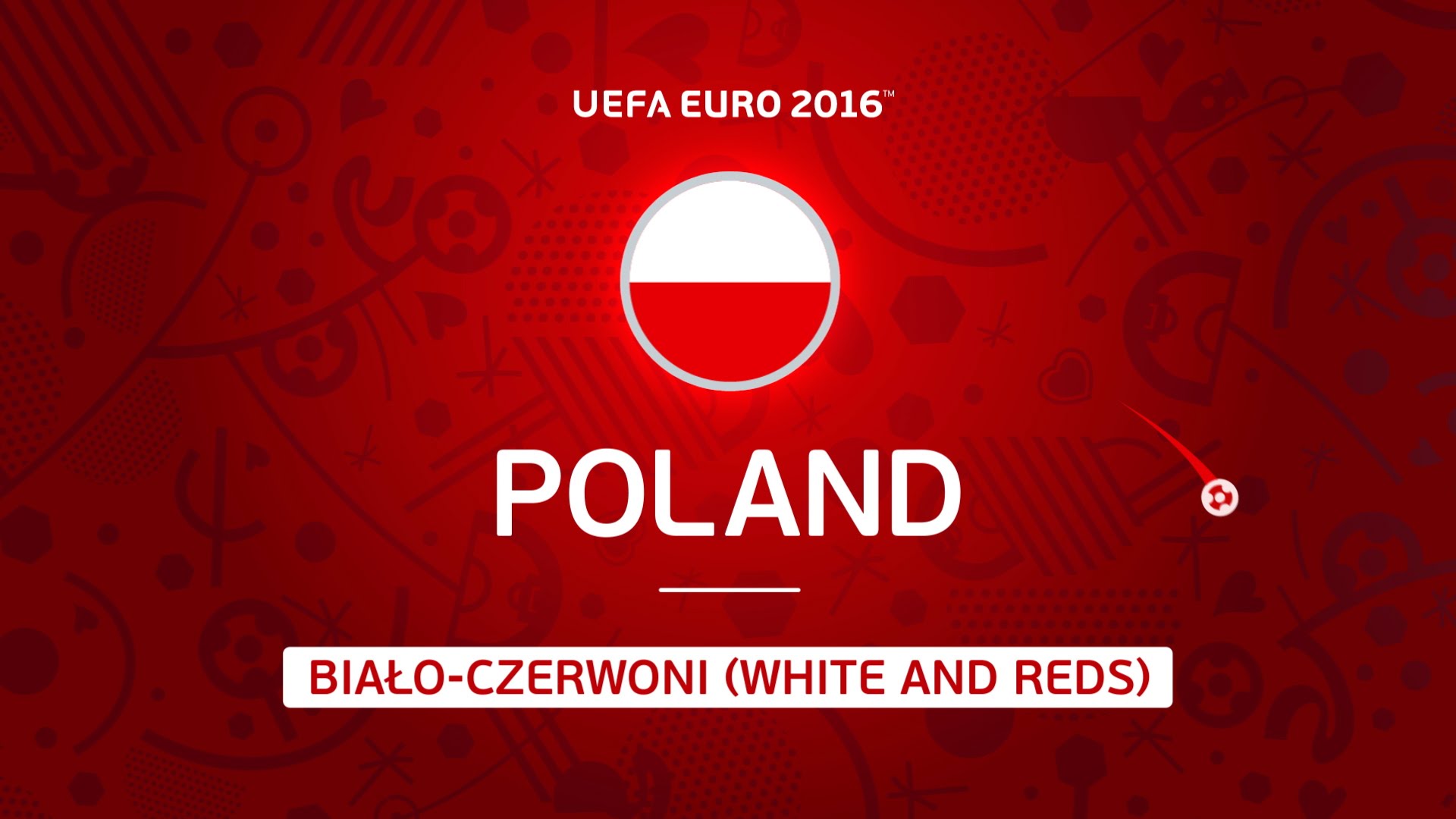UEFA Euro 2016 Francja 082 Polska, Bialo-Czerwoni