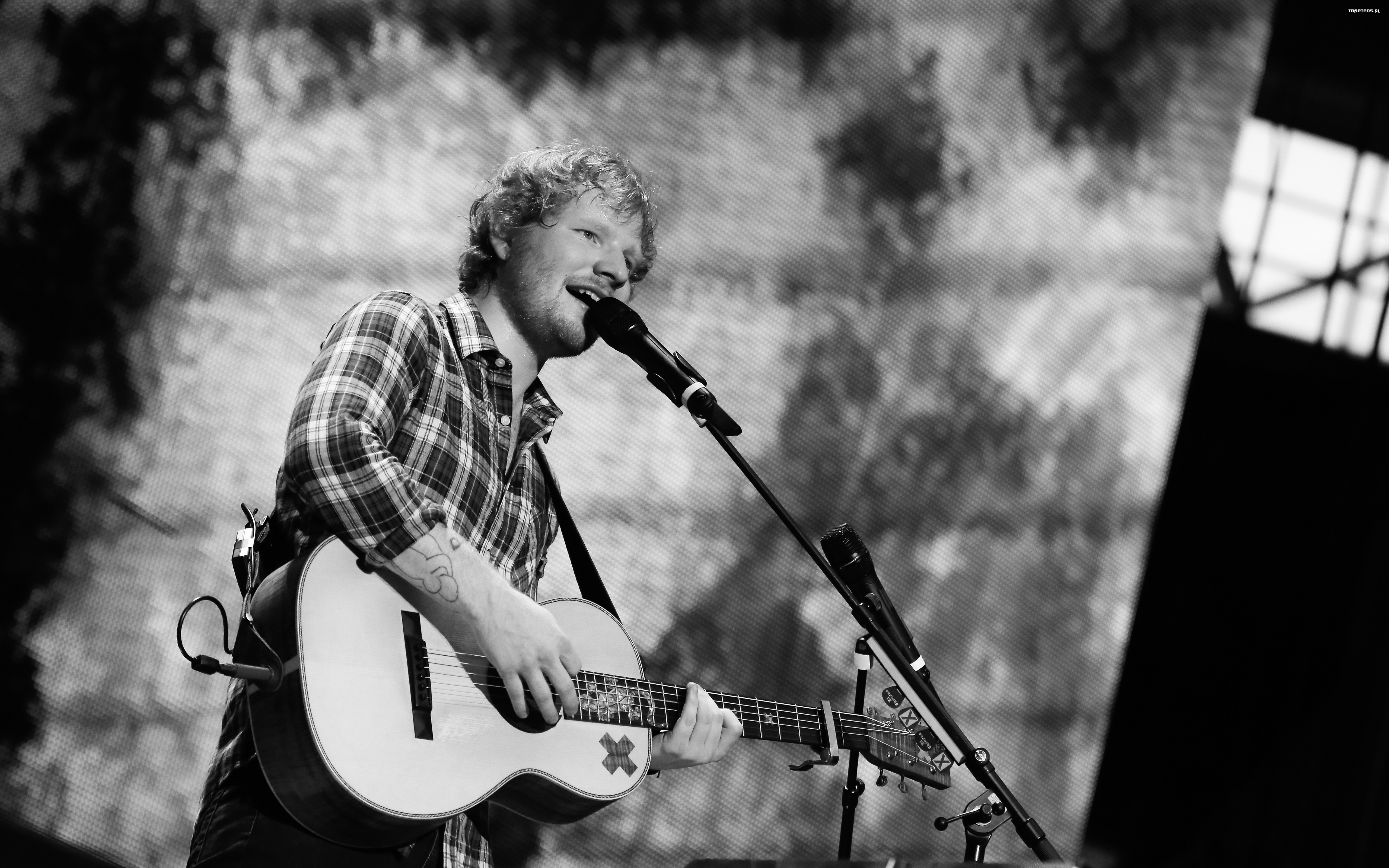 Ed Sheeran 013 Koncert, Gitara, Mikrofon
