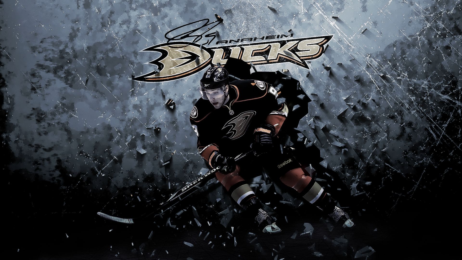 Anaheim Ducks 008 NHL, Hokej, Teemu Selanne