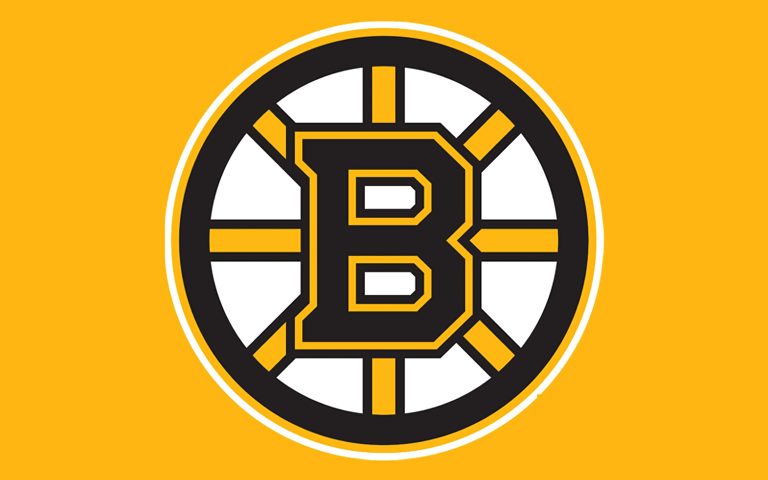 Boston Bruins 003 NHL, Hokej, Logo
