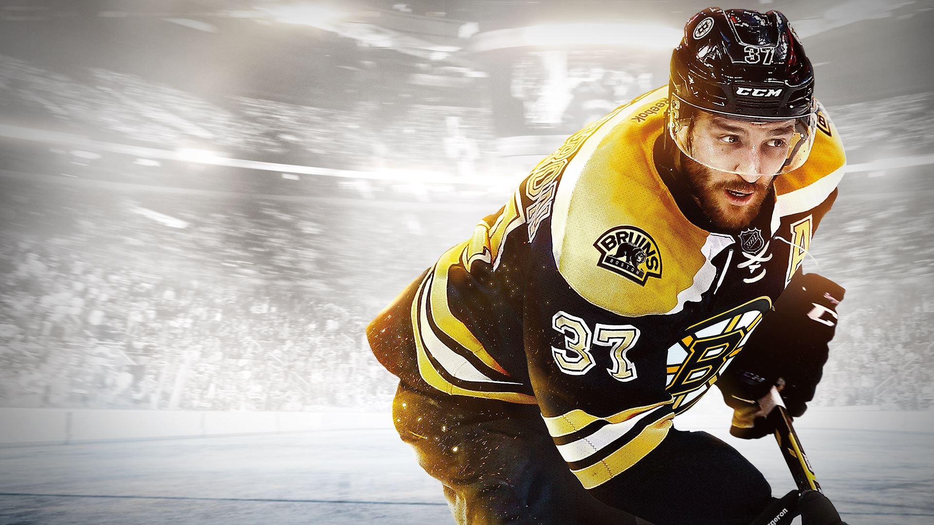 Boston Bruins 017 Patrice Bergeron, NHL, Hokej