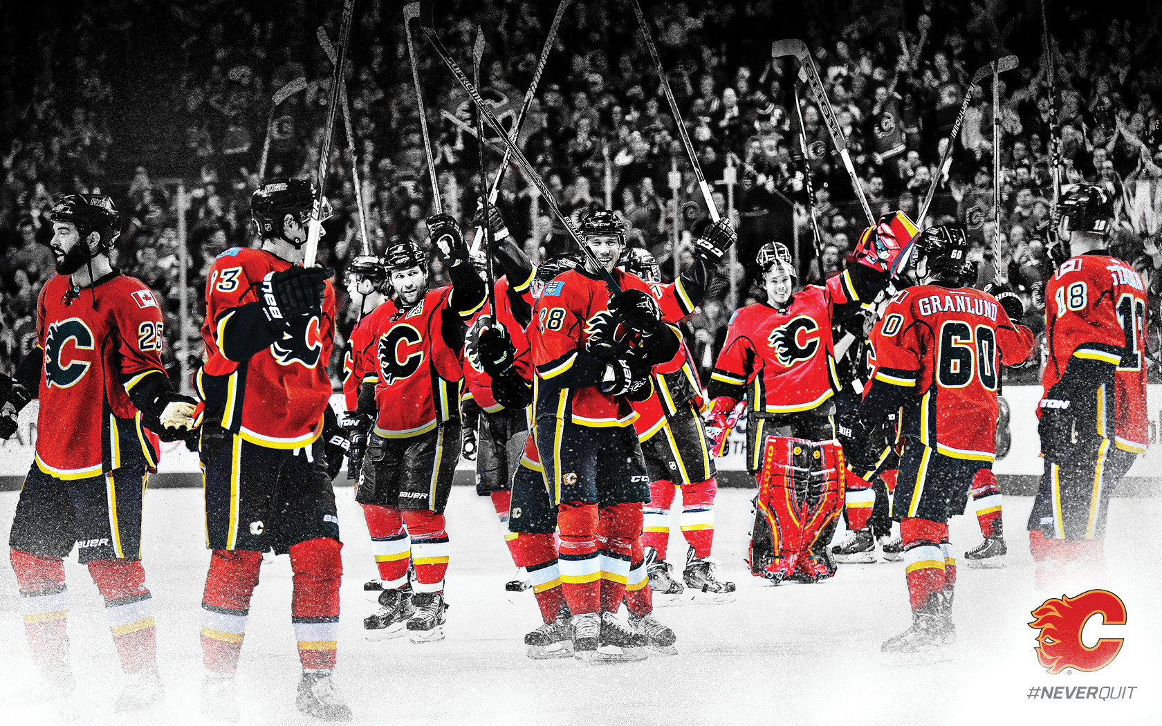Calgary Flames 013 NHL, Hokej