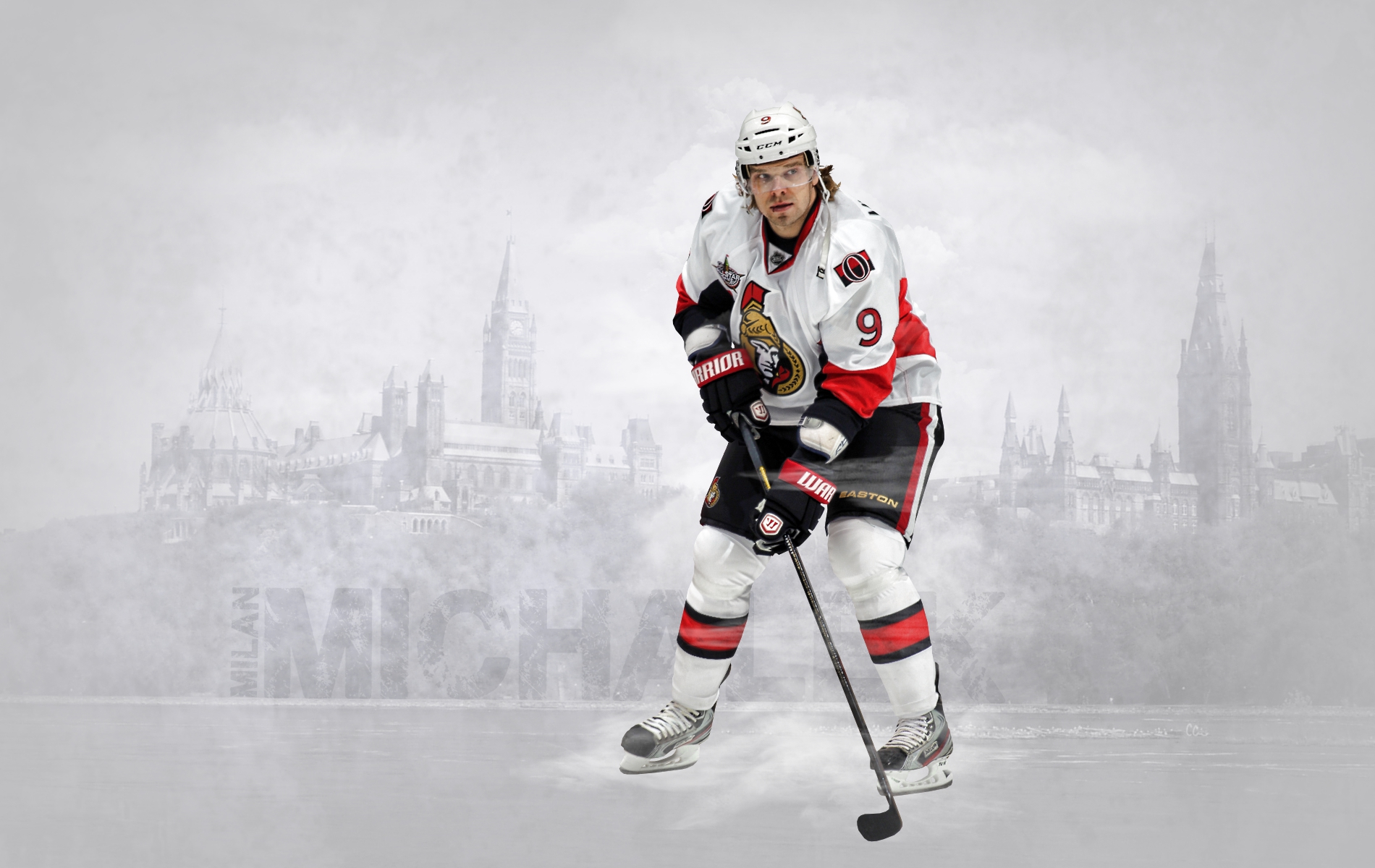 Ottawa Senators 029 NHL, Hokej, Milan Michalek
