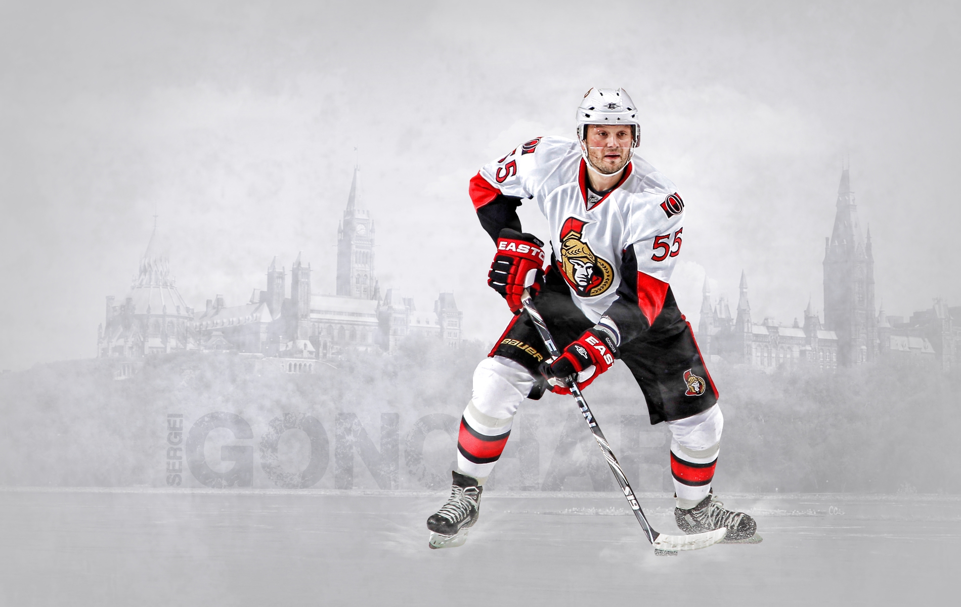 Ottawa Senators 033 NHL, Hokej, Sergei Gonchar