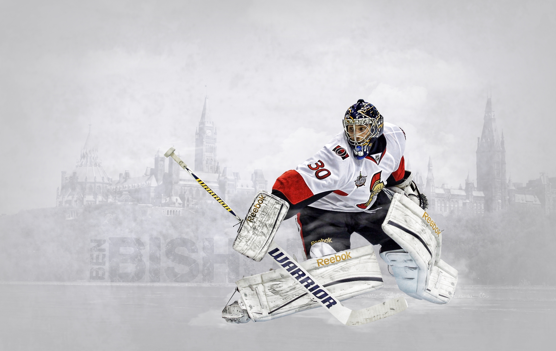 Ottawa Senators 035 NHL, Hokej, Ben Bishop