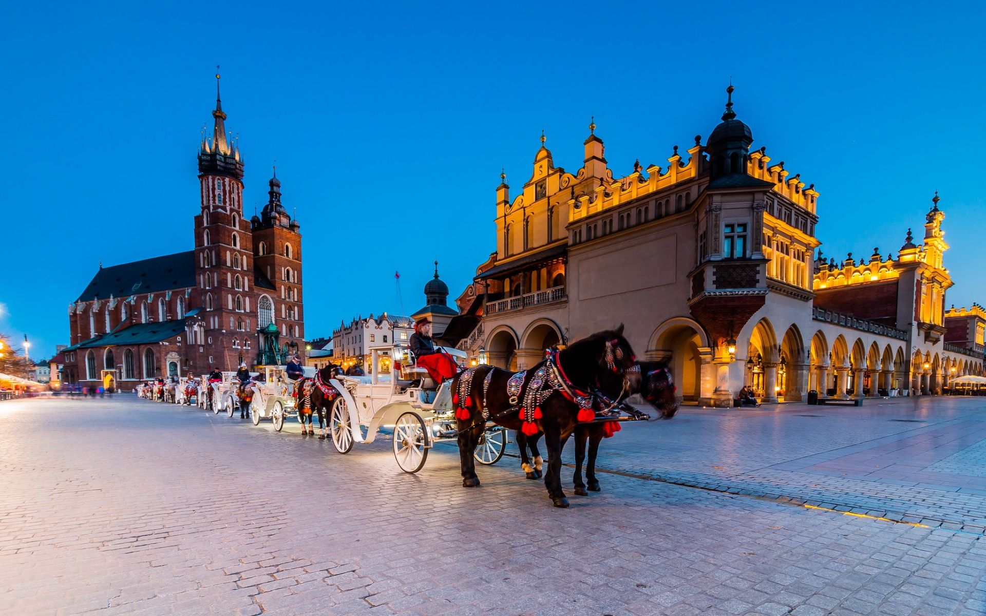 Krakow 006 Polska, Rynek Glowny, Powozy konne