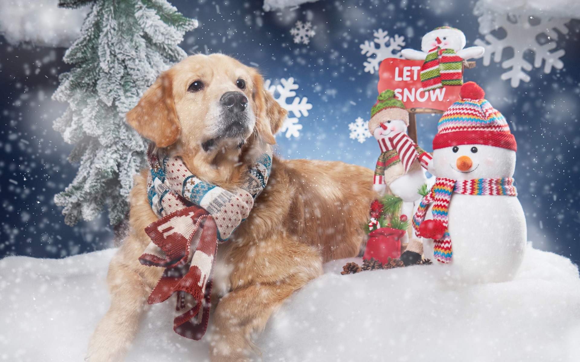 Swieta, Boze Narodzenie,Christmas 1873 Pies, Golden Retriver, Balwanki, Dekoracja, Snieg