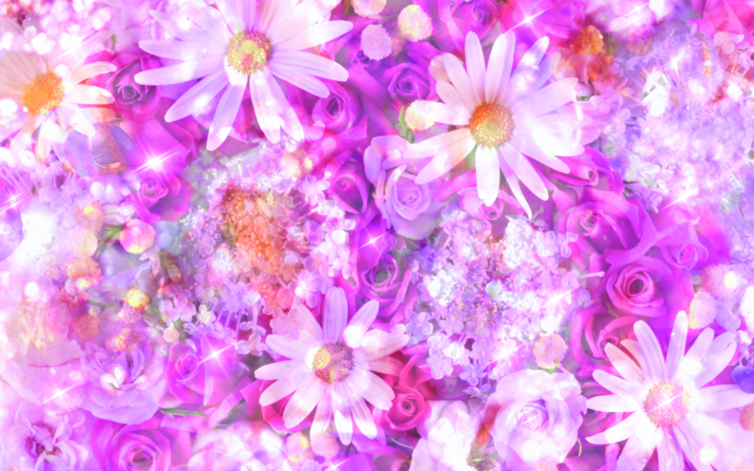 Walentynki 2560x1600 049