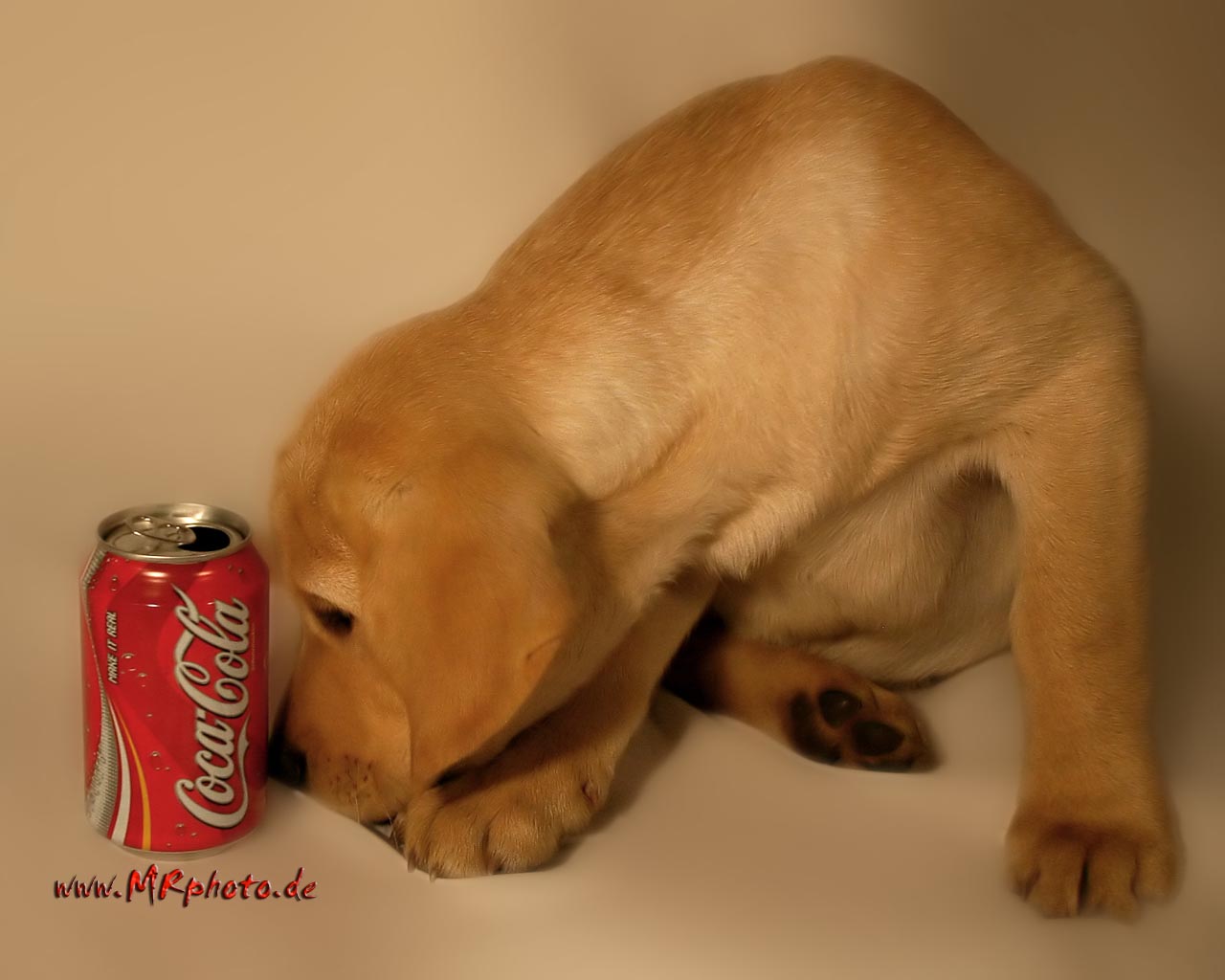 Coca Cola 34