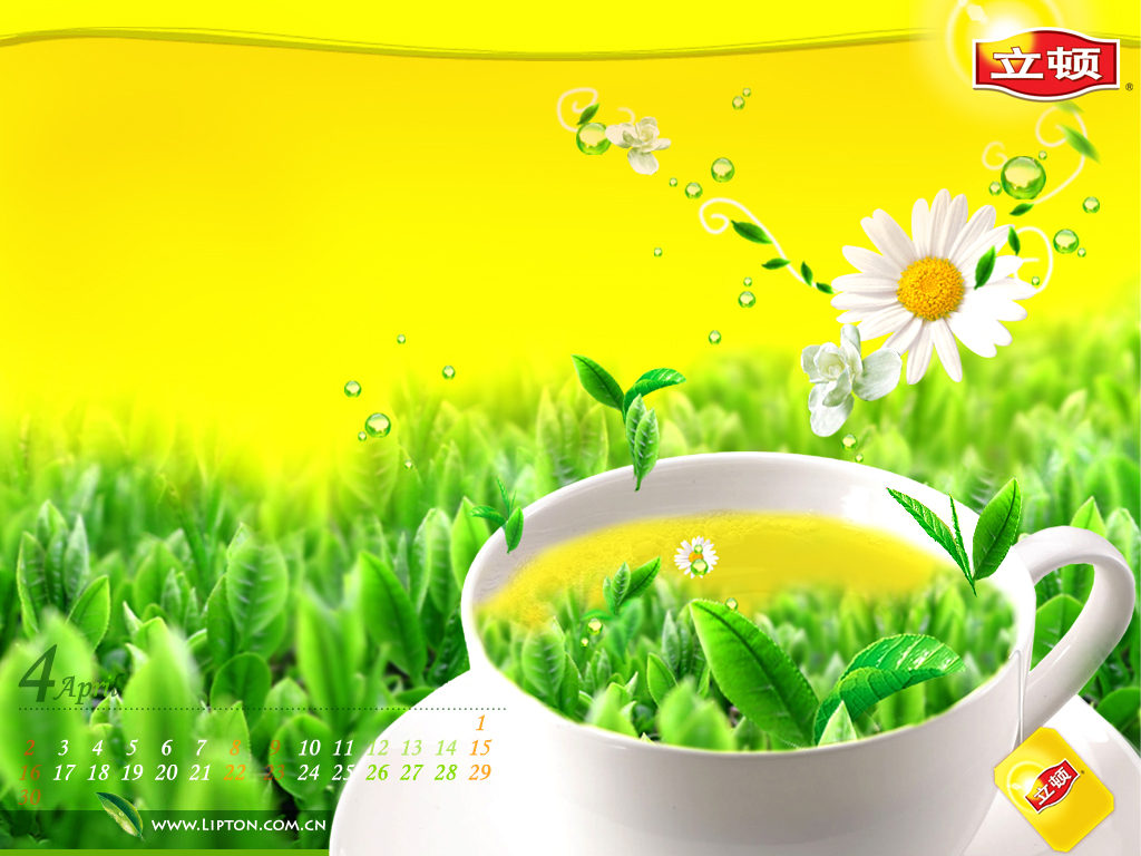 Lipton 02
