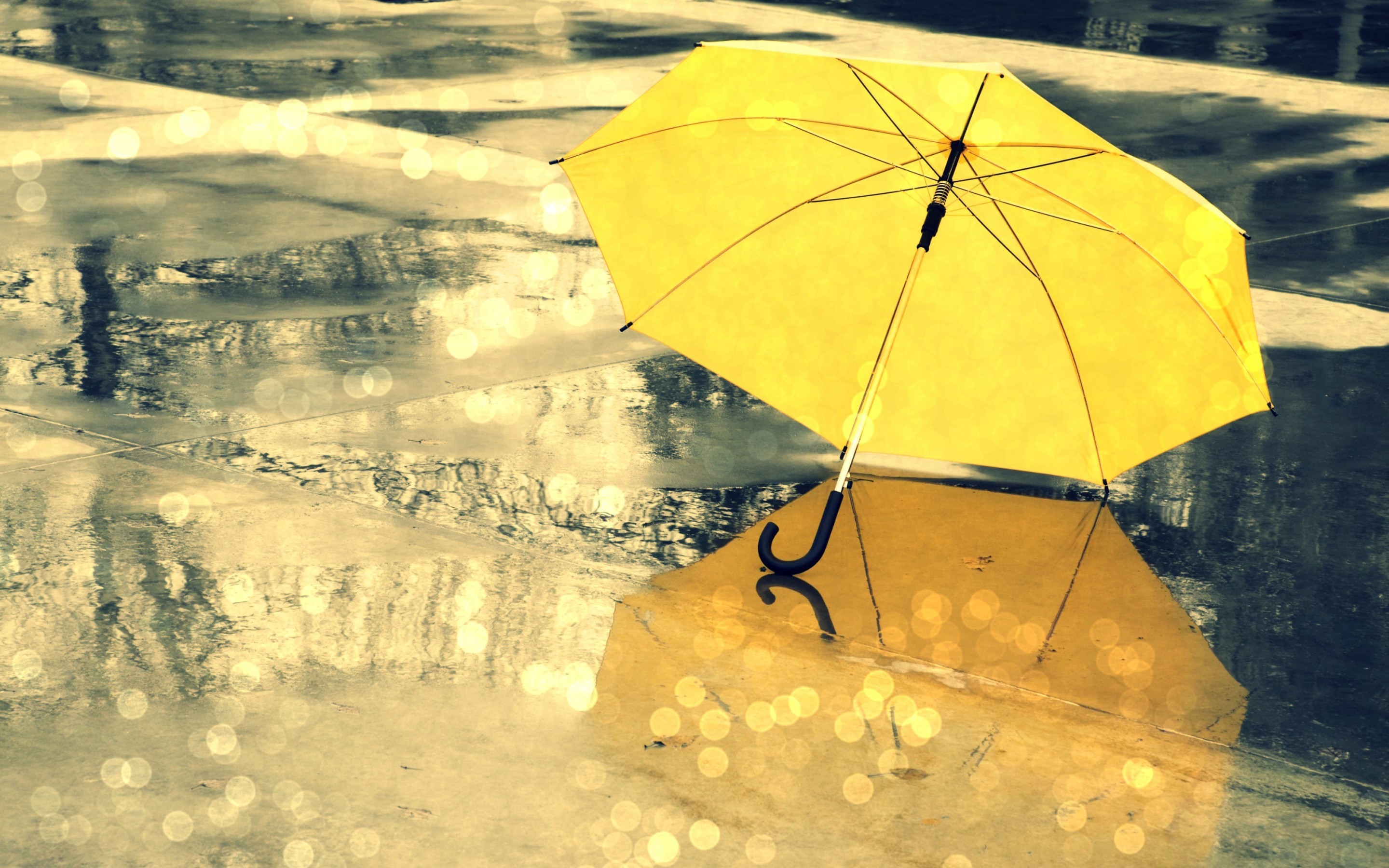 Rozne 2880x1800 001 Parasol
