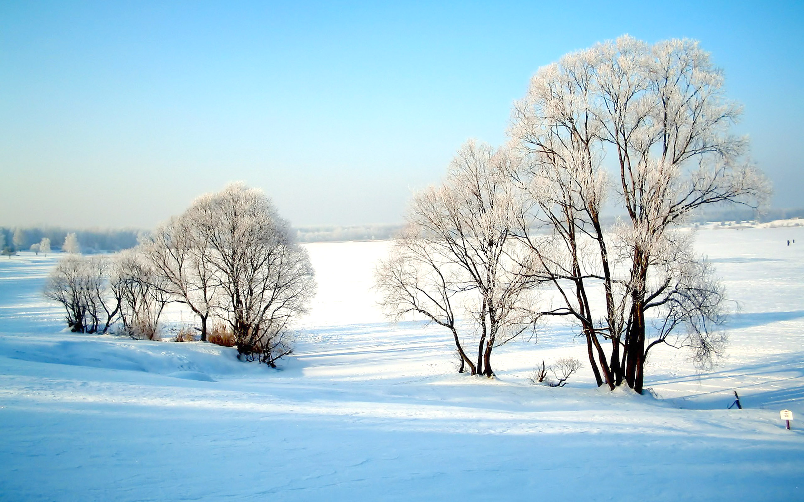 Зима иней снег деревья озеро без смс
