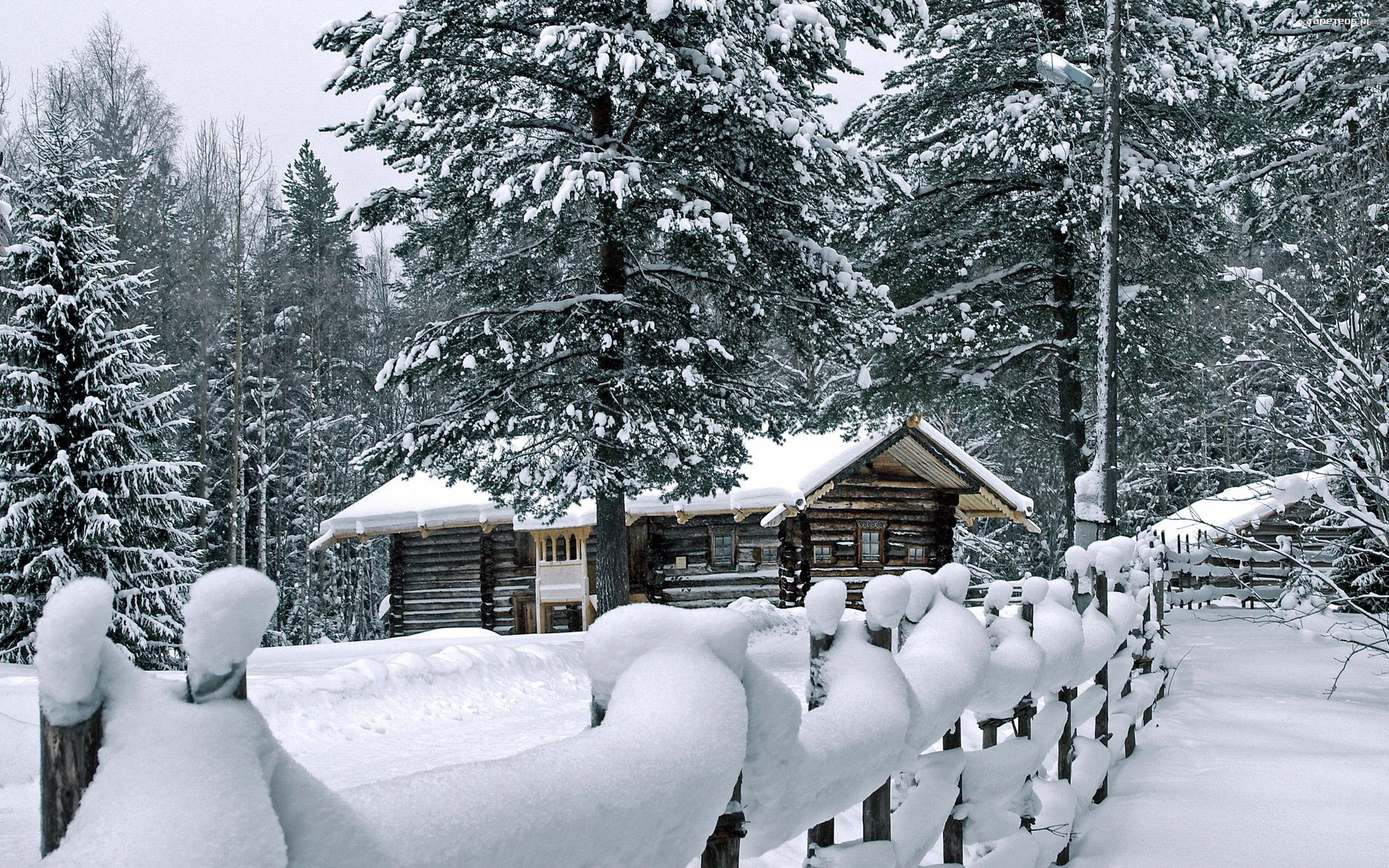 Zima, Winter 2560x1600 031 Domek, Drzewa