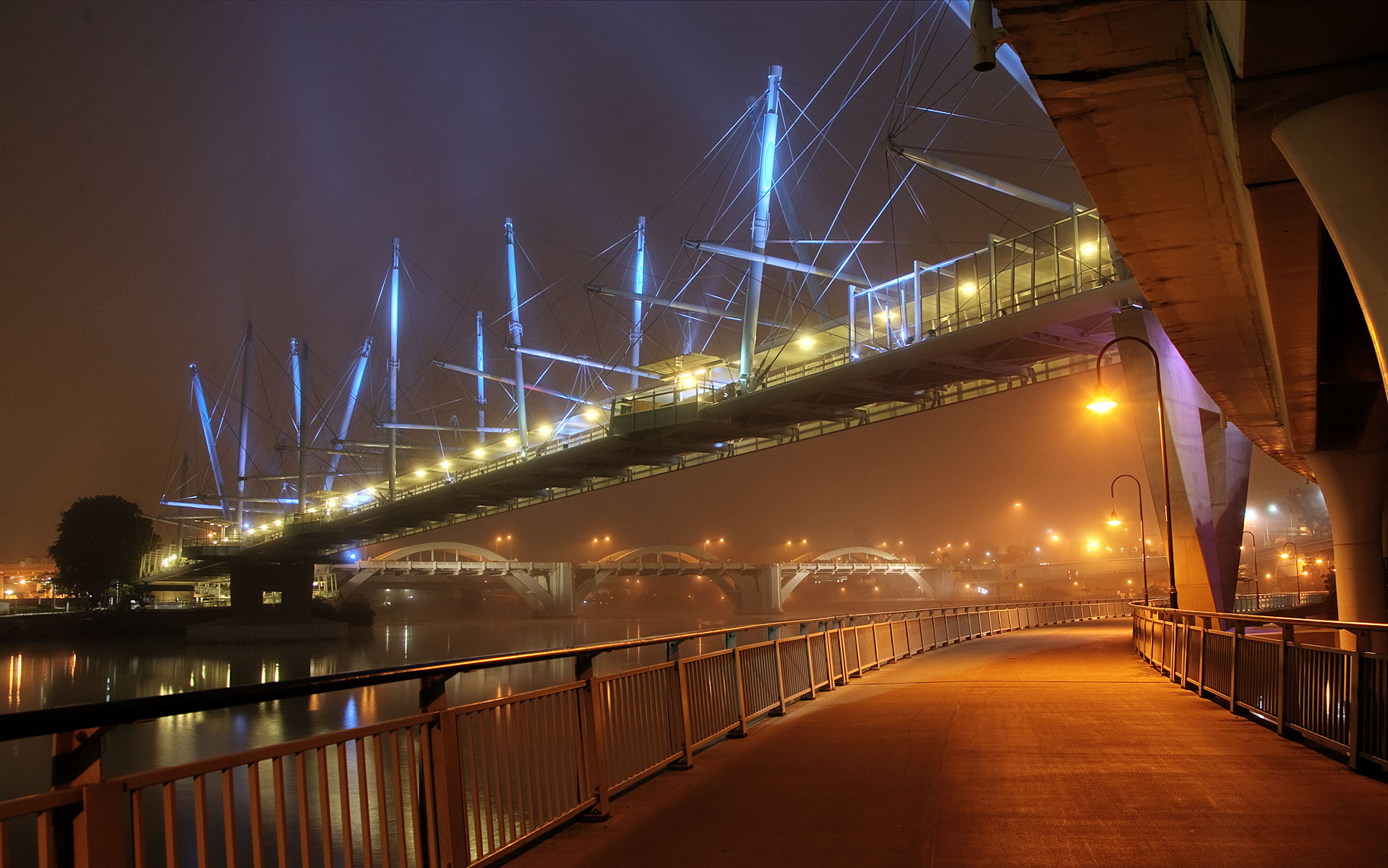 Most Kurilpa Bridge 004 Brisbane, Australia