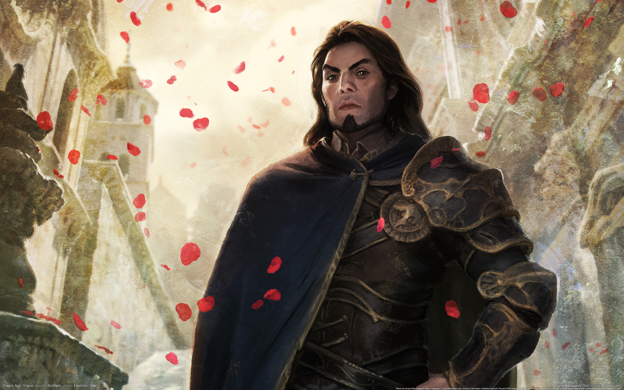 wallpaper dragon age origins 07 2560x1600