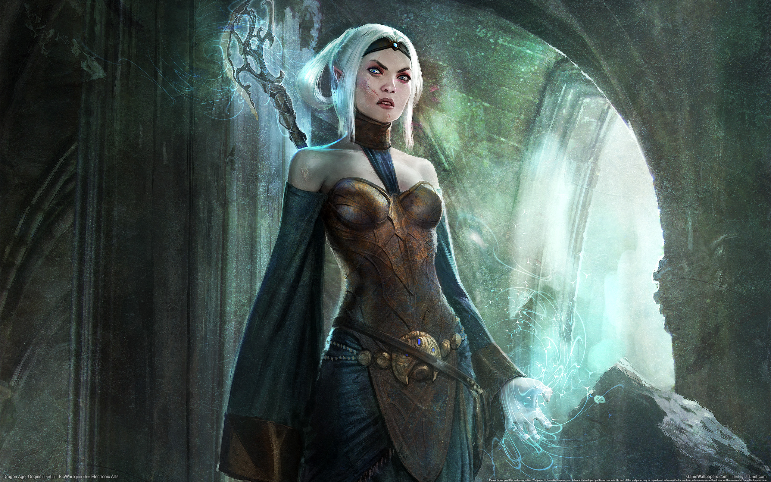 wallpaper dragon age origins 09 2560x1600