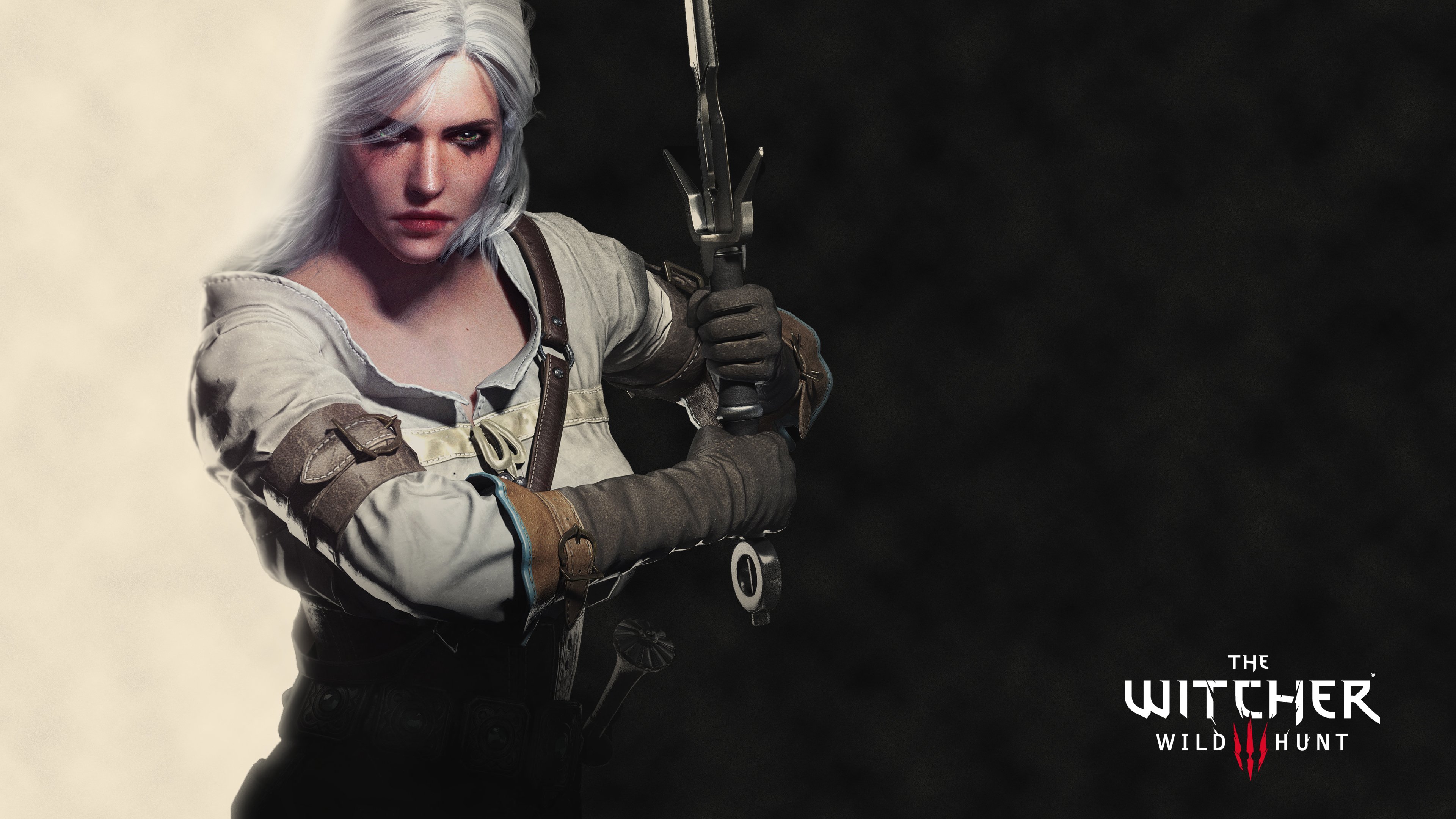 Wiedzmin 3 Dziki Gon The Witcher 3 Wild Hunt 007 Ciri Tapety